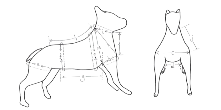Public File | DogHarness-Measurement_Checklist