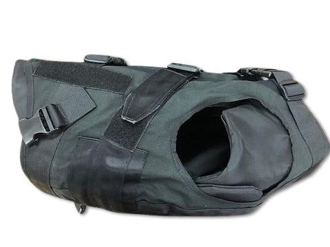 Public File | IMG-20230425-WA0014-removebg-preview