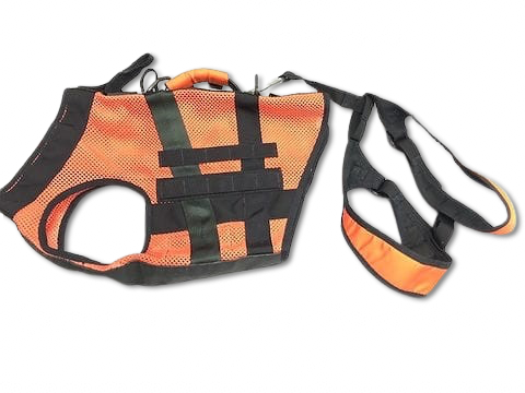 Public File | IMG-20230425-WA0016-removebg-preview